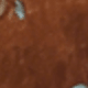 màu nâu