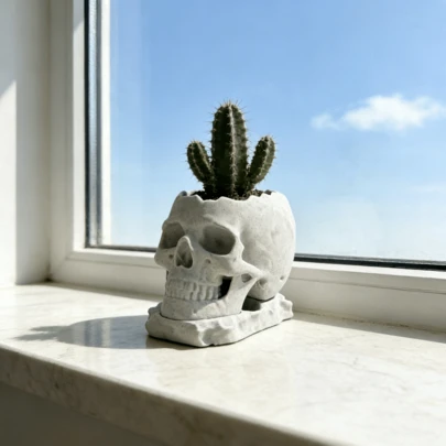 1pc Gothic Style High-Quality Skull Shaped Drip Tray Planter, Breathable Anti-Rot, Suitable For Dining Room, Office, Foyer, Desk, Windowsill And Other Perfect Greenery Companion