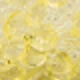 FG640 Light Yellow