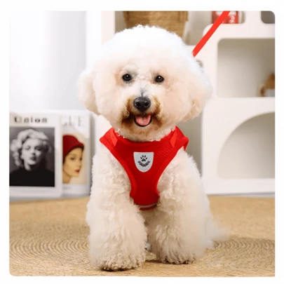 Coleira e guia refletoras para cães: guia ajustável e respirável de 1,2 m para cães de pequeno e médio porte, na cor vermelha com função refletora.