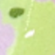 彩色