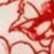 玫瑰紅