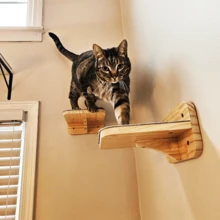 2pcs Wall-Mounted Cat Steps With Felt Pad, Modern Cat Wall Shelf, Cat Tree - 2 Pieces - View 2