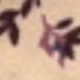 米色