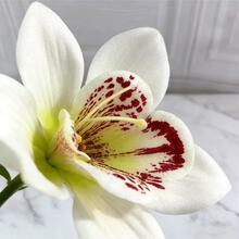 手工丝绸卡特兰兰花，艺术丝绸花，客厅花卉装饰，家居手工丝绸花，DIY婚礼花束、派对、家居客厅、厨房、花园、酒店、办公室、情人节、母亲节、生日礼物、春季家居花园派对装饰、DIY拱形花环装饰，也是送给女孩的绝佳礼物 - 彩色 - 查看 4