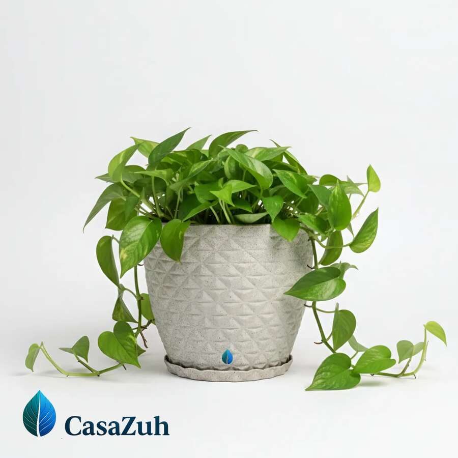 Diamond Model Plant Pot 20 Cm High - Màu Xám nhạt - Xem 1