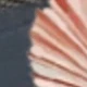 彩色