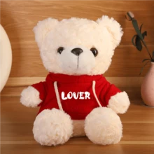 Muñeco de peluche de oso de peluche personalizable con foto, regalo de animal de peluche relleno con nombre personalizado, regalo del Día de San Valentín/cumpleaños, muñeco de peluche lindo con capucha personalizada con foto/nombre - Multicolor - Ver 10