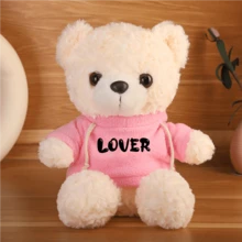 Muñeco de peluche de oso de peluche personalizable con foto, regalo de animal de peluche relleno con nombre personalizado, regalo del Día de San Valentín/cumpleaños, muñeco de peluche lindo con capucha personalizada con foto/nombre - Multicolor - Ver 9