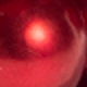 Pearl Red