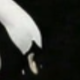 彩色