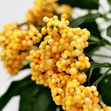 1pc/3pcs Artificial Lifelike Grains Fruit, Fruit Bouquet With Leaves And Stems, Suitable For Holidays, Weddings, Parties, Home Indoor, Dining Table, Bedroom Decor, Gifts, Wreaths, Rattan DIY Decor, Scene Decoration, Room Decor, Home Decor, All Seasons - Multicolor - View 9