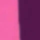 紫色