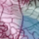 L33/Roxo