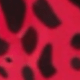 玫瑰紅
