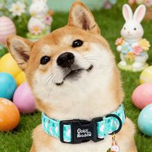 Bobo Rainbow Dog Collars Easter White Rabbit Print Blue Pet Collar Holiday Cute Adjustable Pendant Gift Collar With Quick Release Plastic Buckle For Dogs - Mint Green - View 6