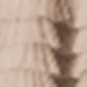 Kaki