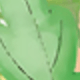 động vật rừng
