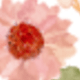 Budget Book - Flower Design