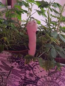 可爱昆虫植物装饰摆件 - 硅胶材质，无需电池，适用于室内/室外植物，经典造型，园艺装饰，趣味设计，装饰品，园艺装饰，户外园艺装饰，园艺配件，大型园艺装饰 - 多色 - 查看 6