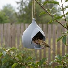 泪滴形悬挂式野生鸟类喂食器，带栖木，户外野生鸟类喂食器，带排水孔，易于填充和清洁，后院花园鸟类喂食器 - 均碼 - 查看 6