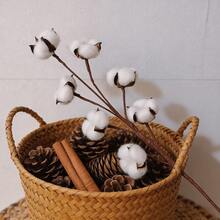 1pc/3pcs/6pcs Artificial Lifelike Cotton Flower, Suitable For DIY Crafts, Vase Filler, Home Decor, Outdoor Events And Photography Props - Easy To Assemble And Reusable - Multicolor - View 4