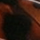 Mocha Brown