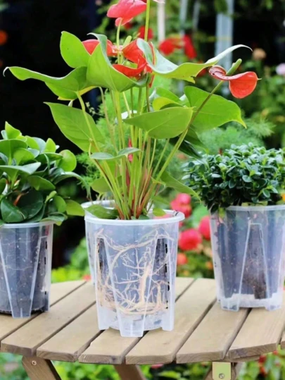 1pc/3pcs Transparent Planter With Drainage Holes - Orchid Pot, Hollow Transparent Flower Pot, Suitable For Orchids And Indoor/Outdoor Plants, Durable Plastic