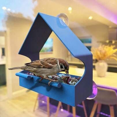 موزع طعام للطيور على النافذة مع كوب شفط قوي وفتحات تصريف، موزع طعام للطيور البرية مثبت على النافذة، صينية مفتوحة لبذور الطيور، مقعدين للطيور، سهل التركيب والتعبئة والتنظيف