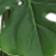 5 pasteles