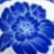 Blue Flower