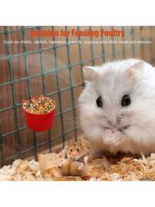 20pcs Chicken And Rabbit Feeders Suitable For Cages, Hanging Chicken Water Feeding Cups, Plastic Bird Feeder Seed Bowls - Feeder - View 8