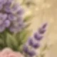 Mauve Purple