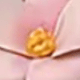 彩色