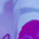Lilac Purple