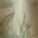 Xanh lá xô thơm