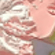 彩色