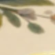 彩色