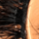 Fluffy Lashes