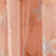 Bụi hồng