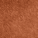 Camel 1