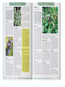 The Forgotten Guide To Plant Remedies - C-xanh - Xem 5