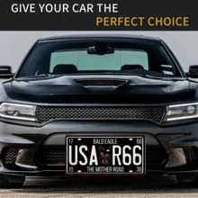 1 pieza Placa de matrícula de coche de metal vintage, Placa americana, Letrero de metal, Decoración de pared para el hogar, garaje, club, bar, Cubierta de placa frontal de coche, Placa de matrícula de metal de 6*12 pulgadas, Tamaño de agujero aleatorio - Multicolor - Ver 6