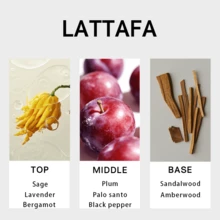 Lattafa Pride Vintage Radio Unisex Eau De Parfum Spray 100ml Amber Woody Scent Unisex Fragrance Authentic Original Long-Lasting Scent - 木質香調 - 查看 2