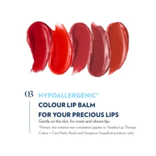 Vaseline 4.2克 斋月祝福 | 开斋节后焕发光彩 | 凡士林玫瑰润唇膏 | 深层滋养极度干燥的双唇 | 纯素润唇护理 - Rose LTD - 查看 6