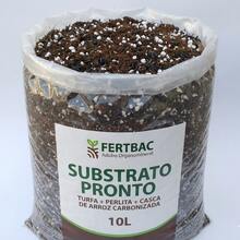 Substrato Pronto Cactos E Suculentas E Rosa Do Deserto Premium 10 Litros FertBac - Turfa+Perlita+Casca de Arroz - Visão 7