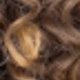 12inch-Curly-T33/27