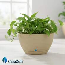 Vaso de Planta tipo Bacia Grafiato PP, perfeita para Cactos, Suculentas e Plantas de Pequeno Porte - Bege - Visão 4