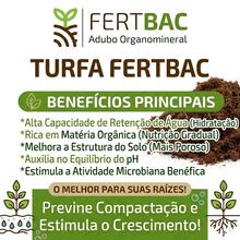 Substrato Pronto Cactos E Suculentas E Rosa Do Deserto Premium 10 Litros FertBac - Turfa+Perlita+Casca de Arroz - Visão 4