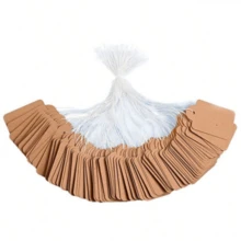 100 piezas Etiquetas de joyería, Bucles de cordón, Etiquetas de precio, Etiquetas de precio de joyería blancas con texto manuscrito en dorado y plateado, Etiquetas de jardín - 100 etiquetas en blanco. - Ver 3